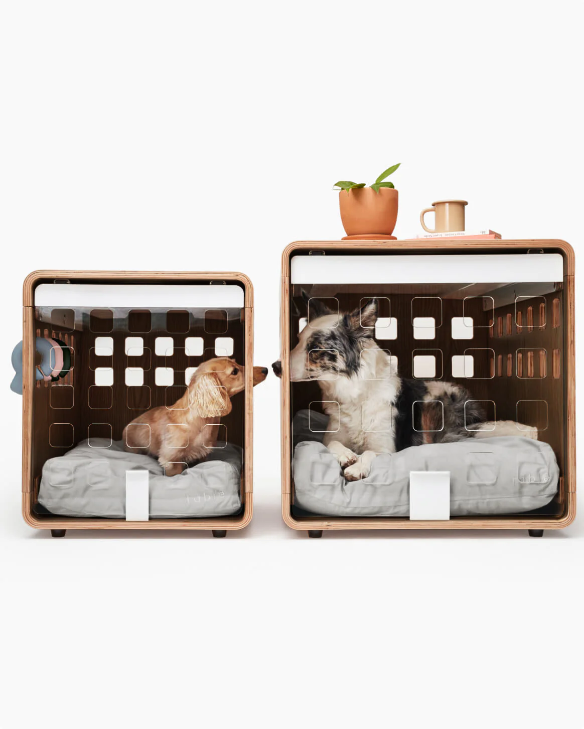 Crate - Image 41