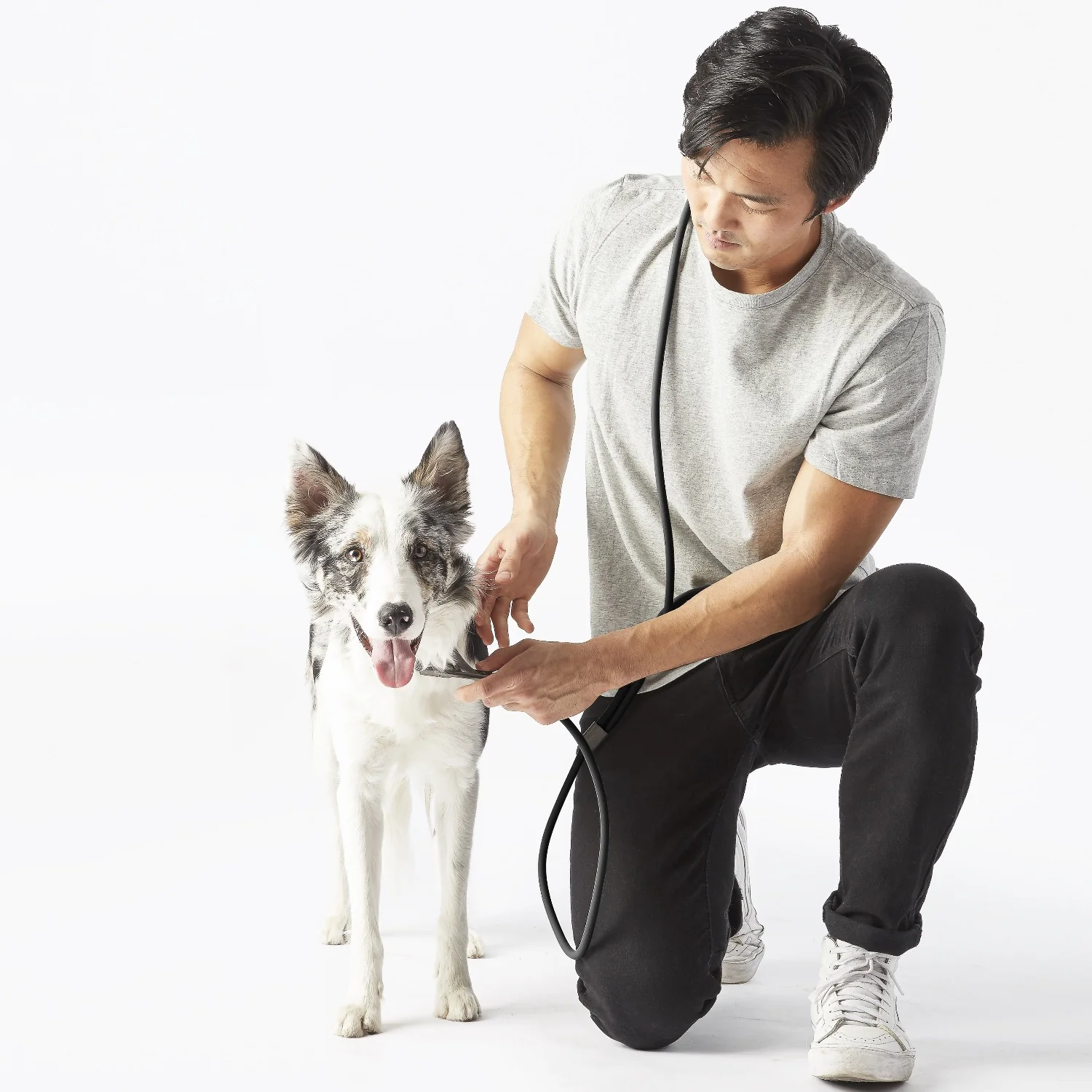 Magic Leash® - Image 5