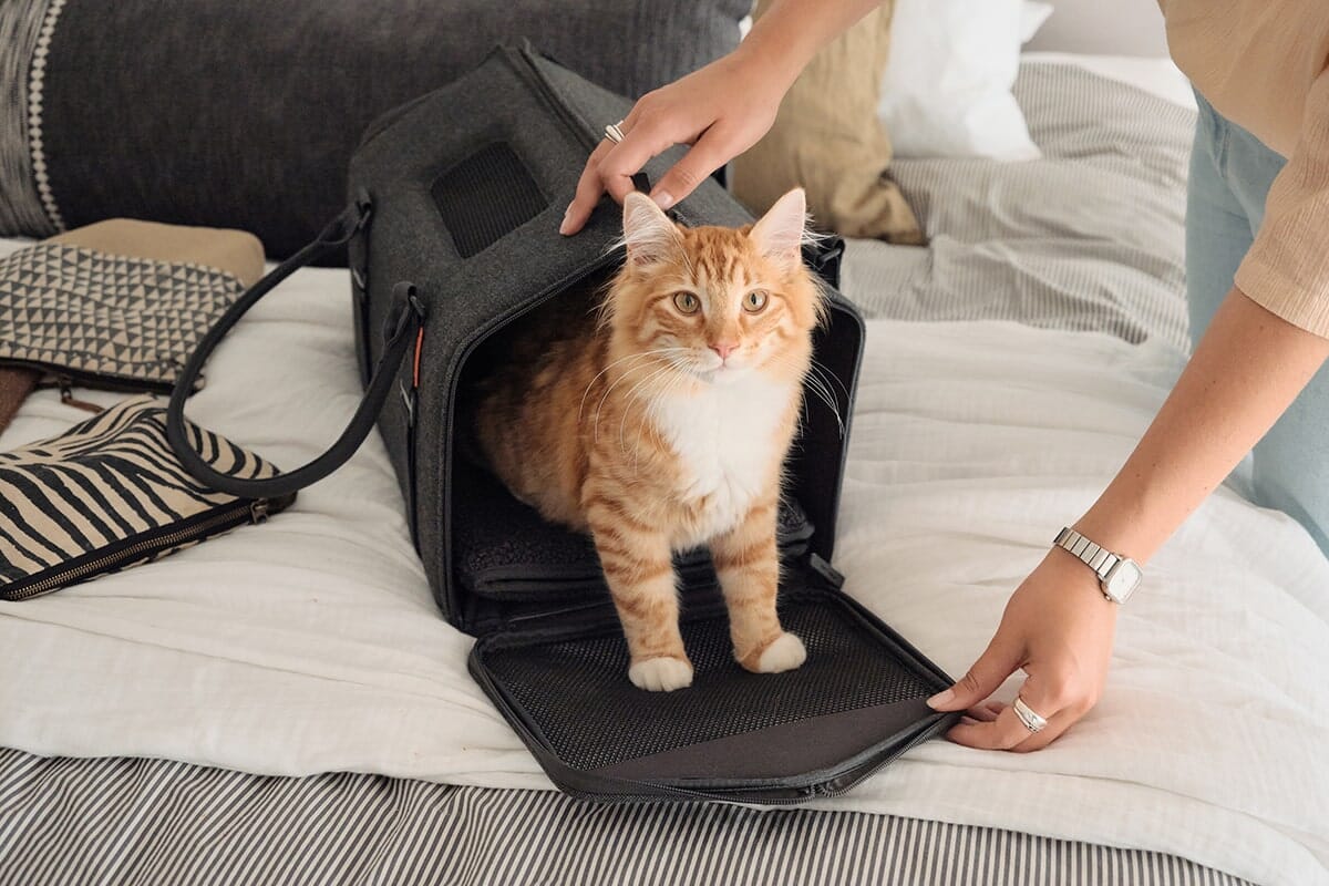 tuft + paw Porto Cat Carrier - Image 7
