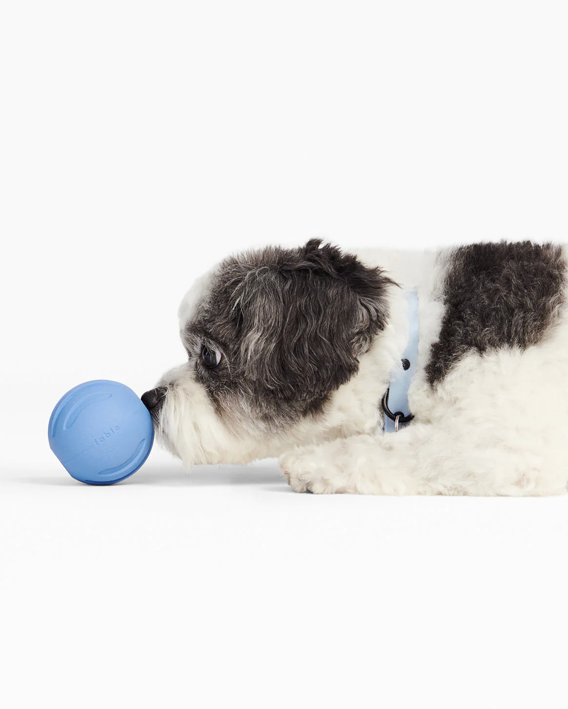 Signature Ball (Pack of 3) - Image 7