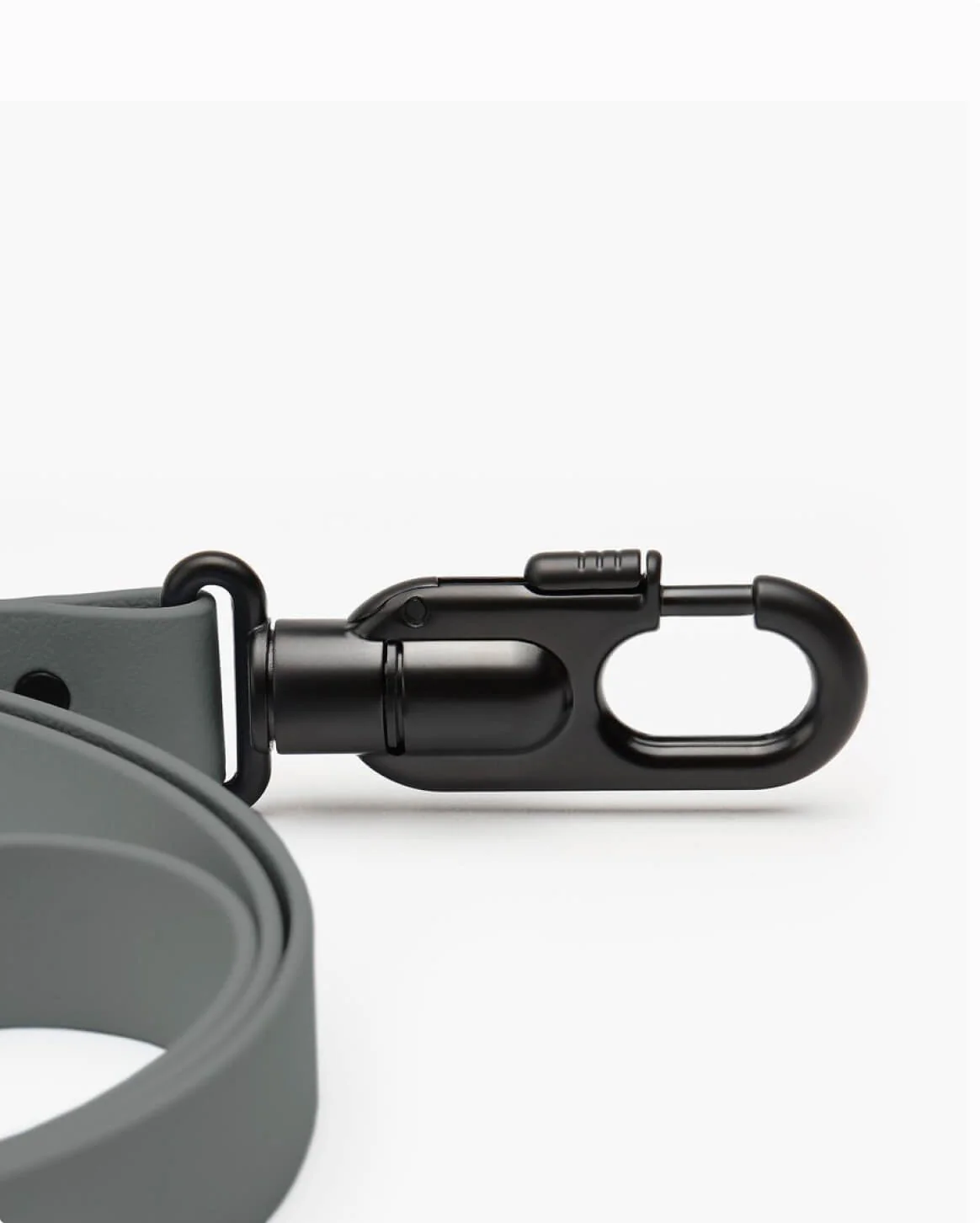 Signature Leash - Image 20