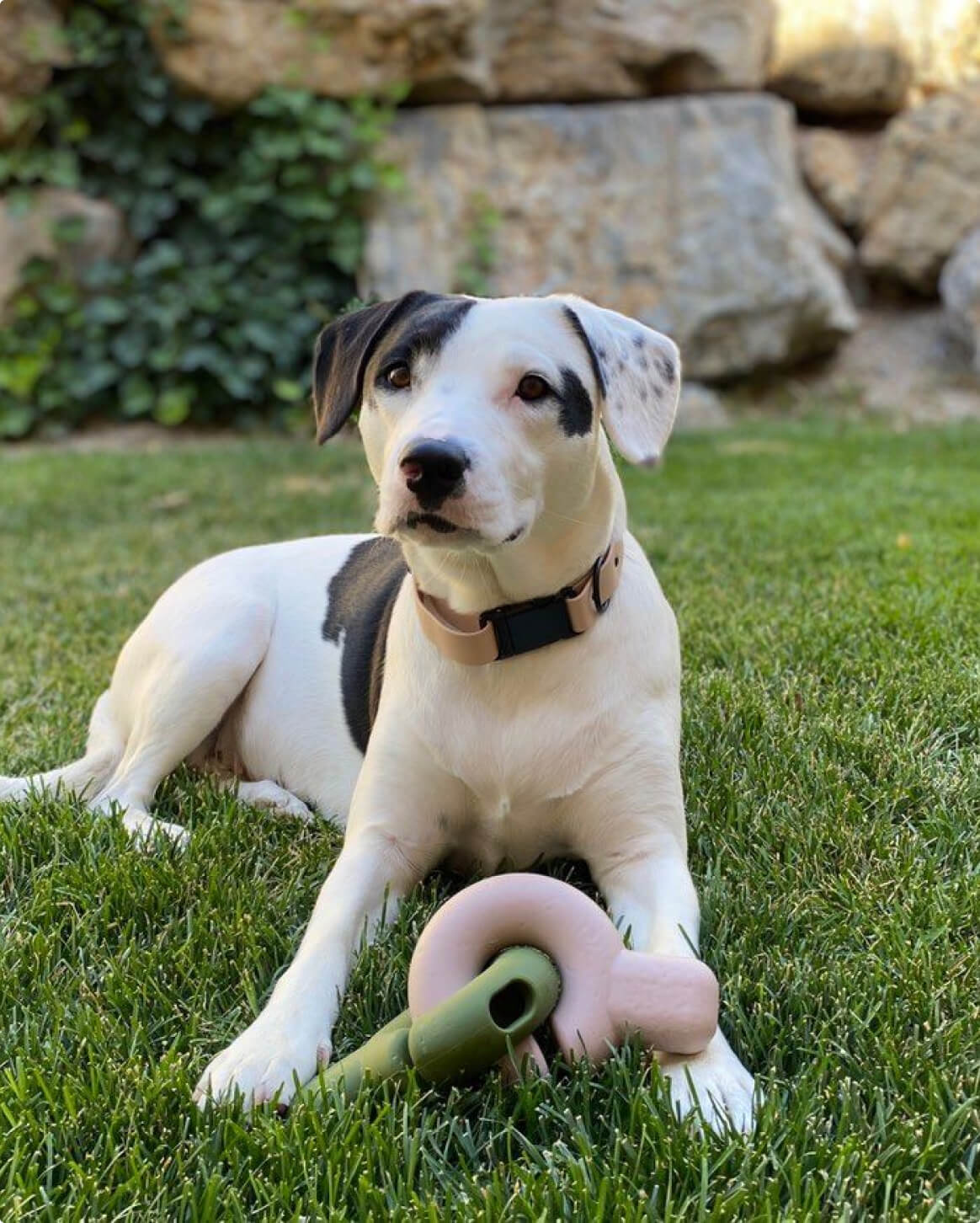 Falcon Toy™ - Image 10